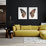 Delicate Butterfly I, Shadow Box