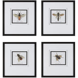 Anthophila 21 X 20 inch Framed Prints, Set of 4