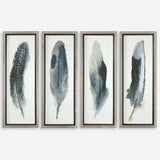 Feathered Beauty Framed Prints, S/4